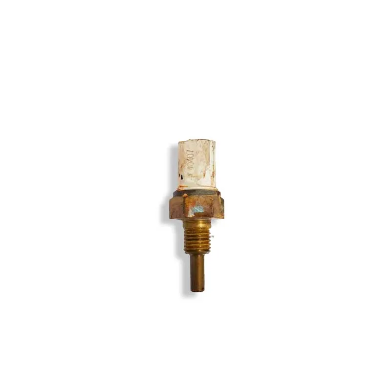[1103] Sensor temperatura de agua